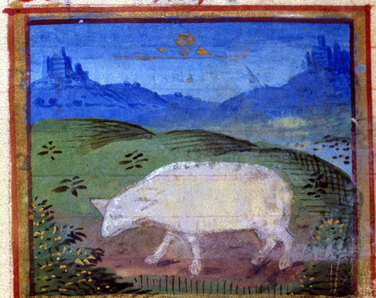 Znamení berana. Italský horoskop, polovina 15. století. od Italian School