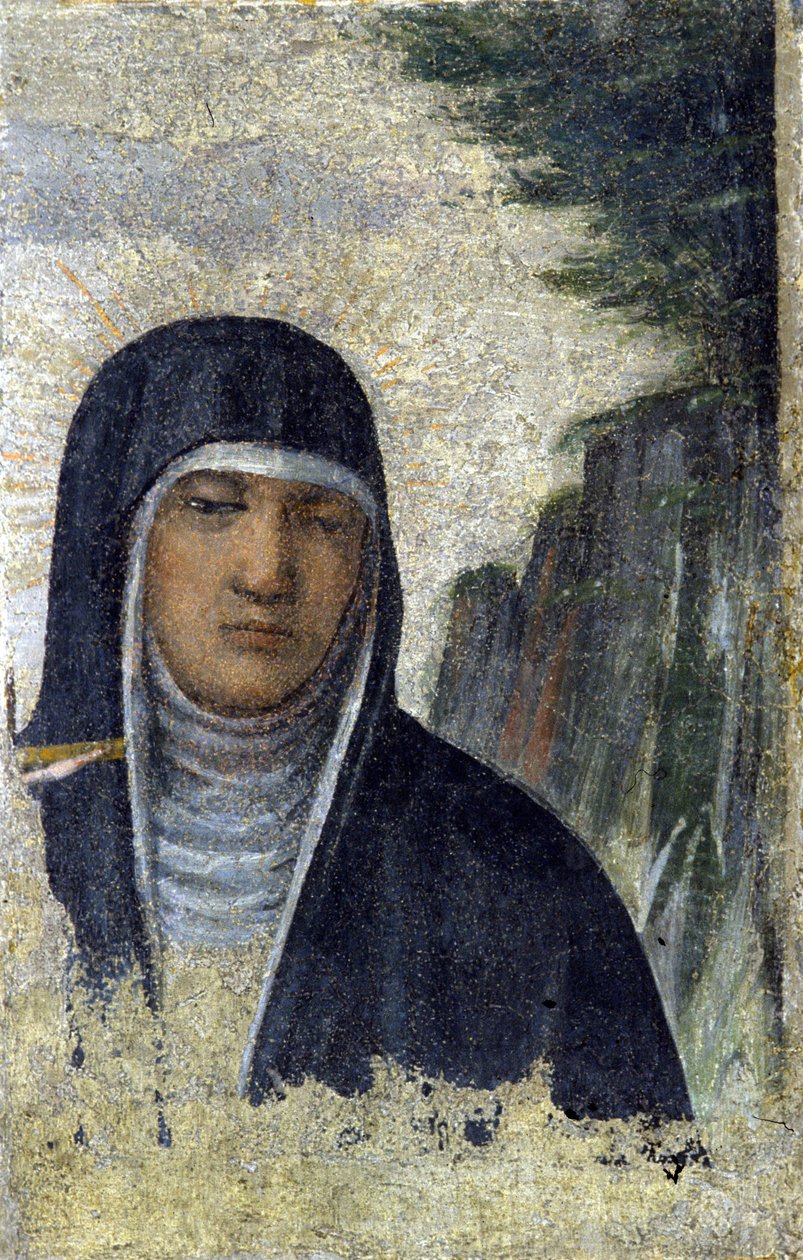 svatá Klára. Zakladatel Řádu klarisek (viz Assisi od Italian School