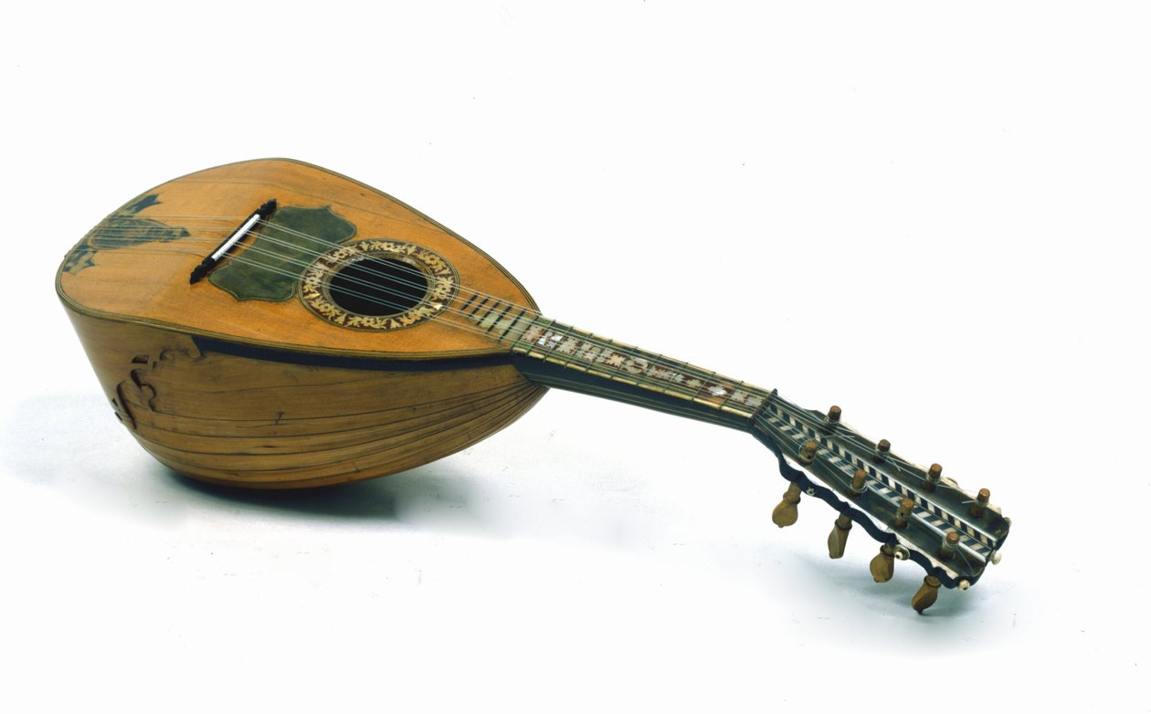 Zátiší neapolské mandolíny vynalezené Giuseppem Galiottem od Italian School
