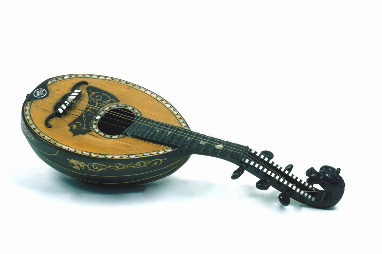 Zátiší z mandolíny milánského typu. 18. století. od Italian School