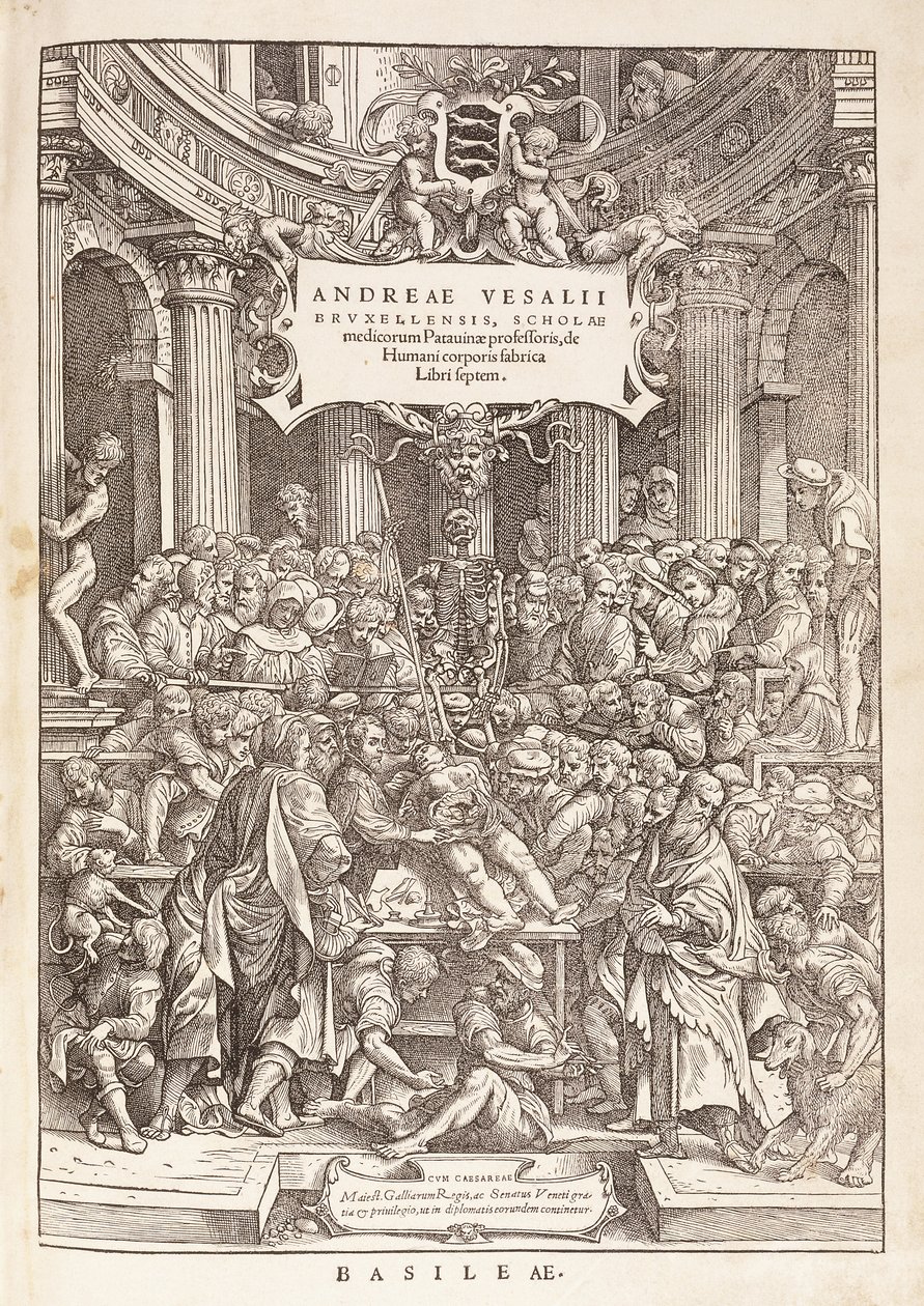 Autor provádějící anatomickou pitvu v chirurgickém divadle, 1543 od Italian School