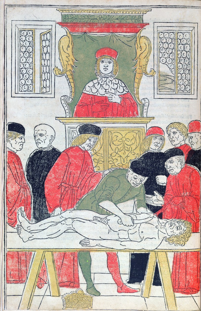 The Dissection, ilustrace z 