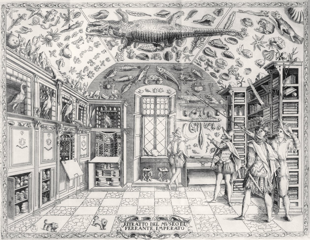 Přírodovědné muzeum císaře Ferdinanda III. z hospody Historia Naturale od Ferrante Imperato (1550-1631). v roce 1672 od Italian School