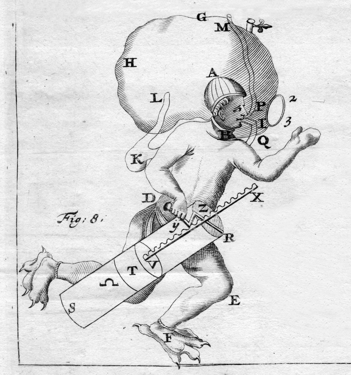 Scahandre - v "Pohyb zvířat" od Giovanni Alfonso Borelli (1608 - 1679) od Italian School
