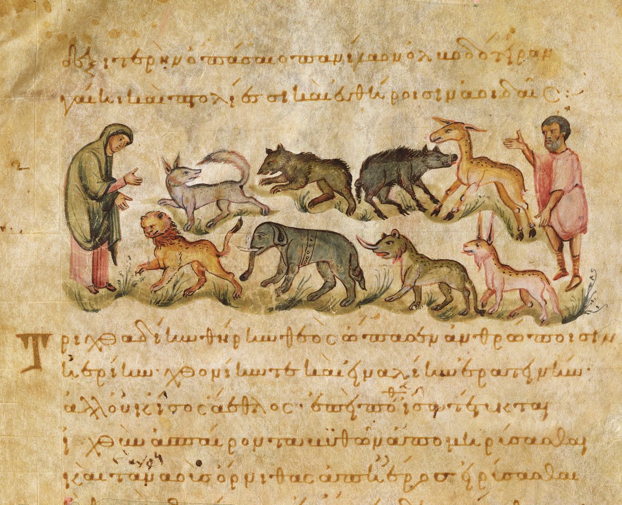 Pojednání o mnoha druzích živočichů, kteří obývají zemi, ilustrace z Oppianovy Cynegetiky (tempera na pergamenu) od Italian School