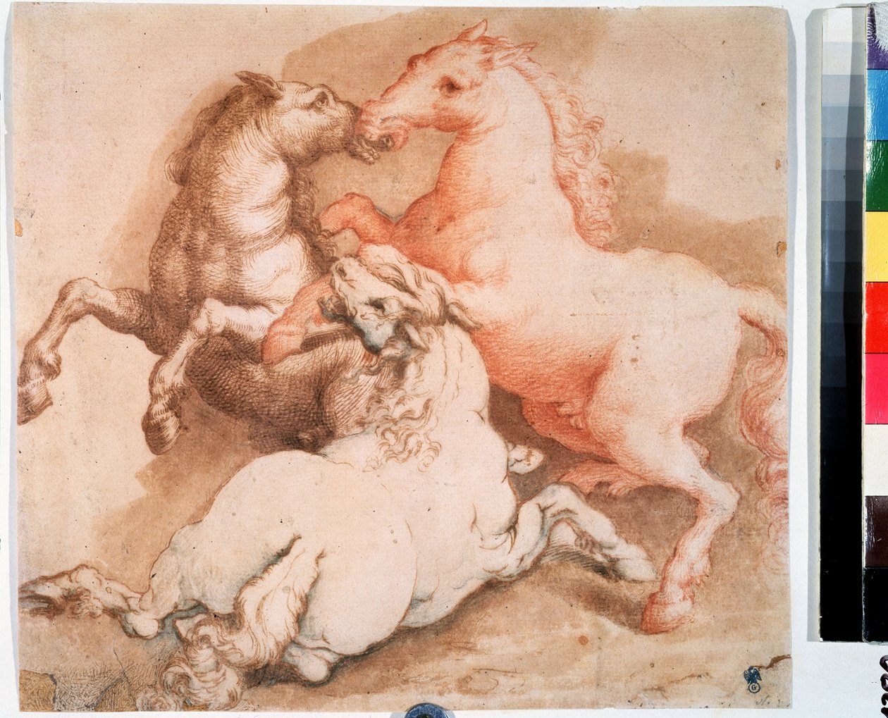 ""Zápas na koních"" (Bojové koně) Kresba perem, inkoust italské školy. 1550-1600 Puškinovo muzeum, Moskva od Italian School