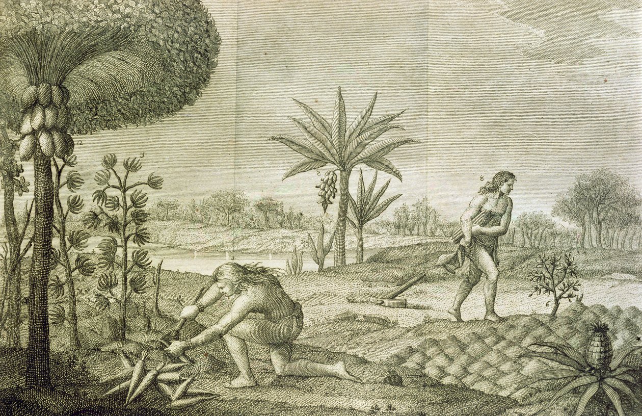 Různé zeleninové plodiny indiánů z povodí Orinoka a Amazonky (Maranon) od Italian School