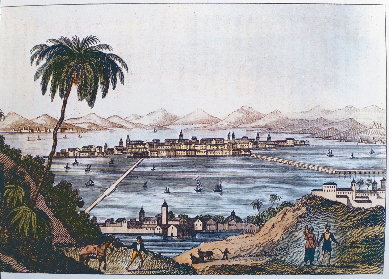 Pohled na Mexico City, 1714 od Italian School