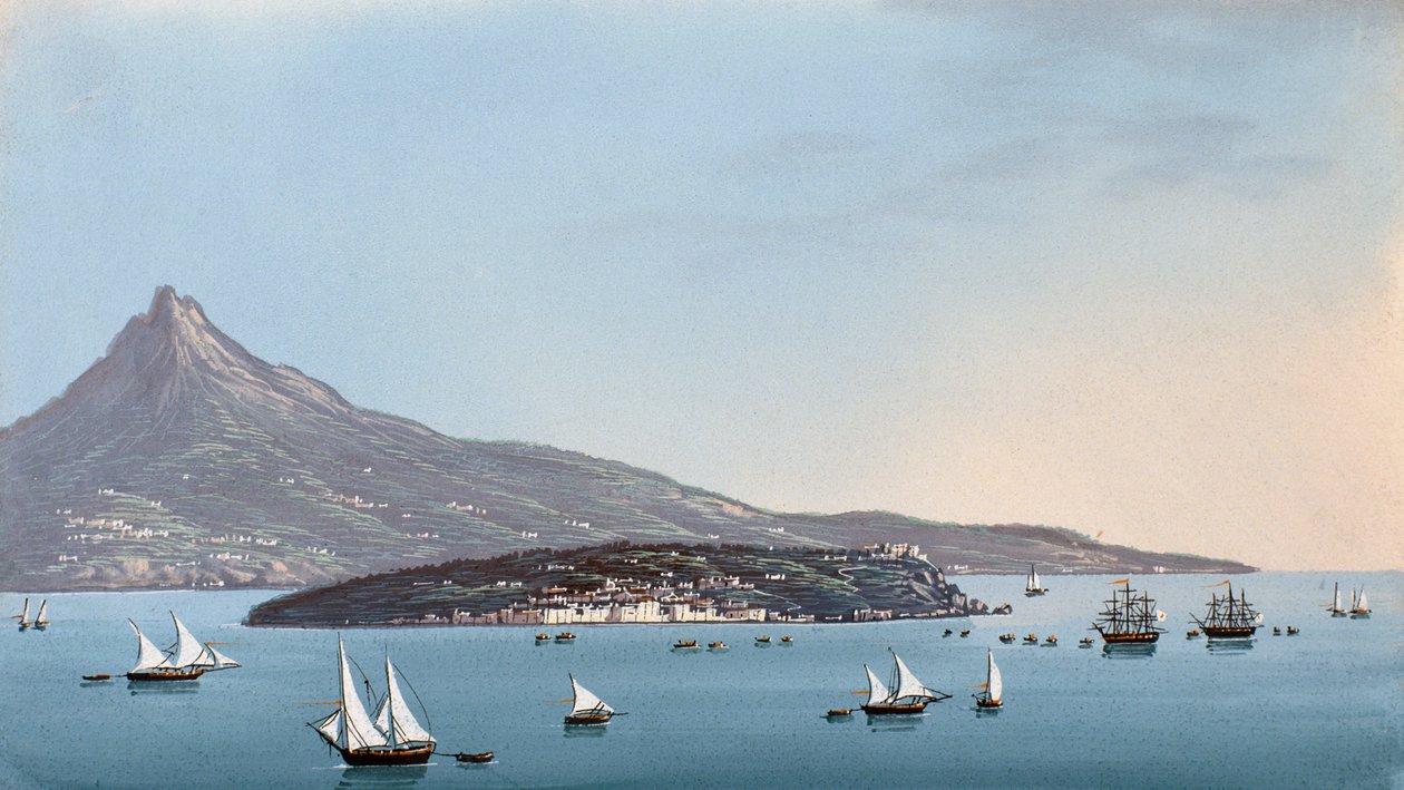 Pohled na Neapol (kvaš) od Italian School
