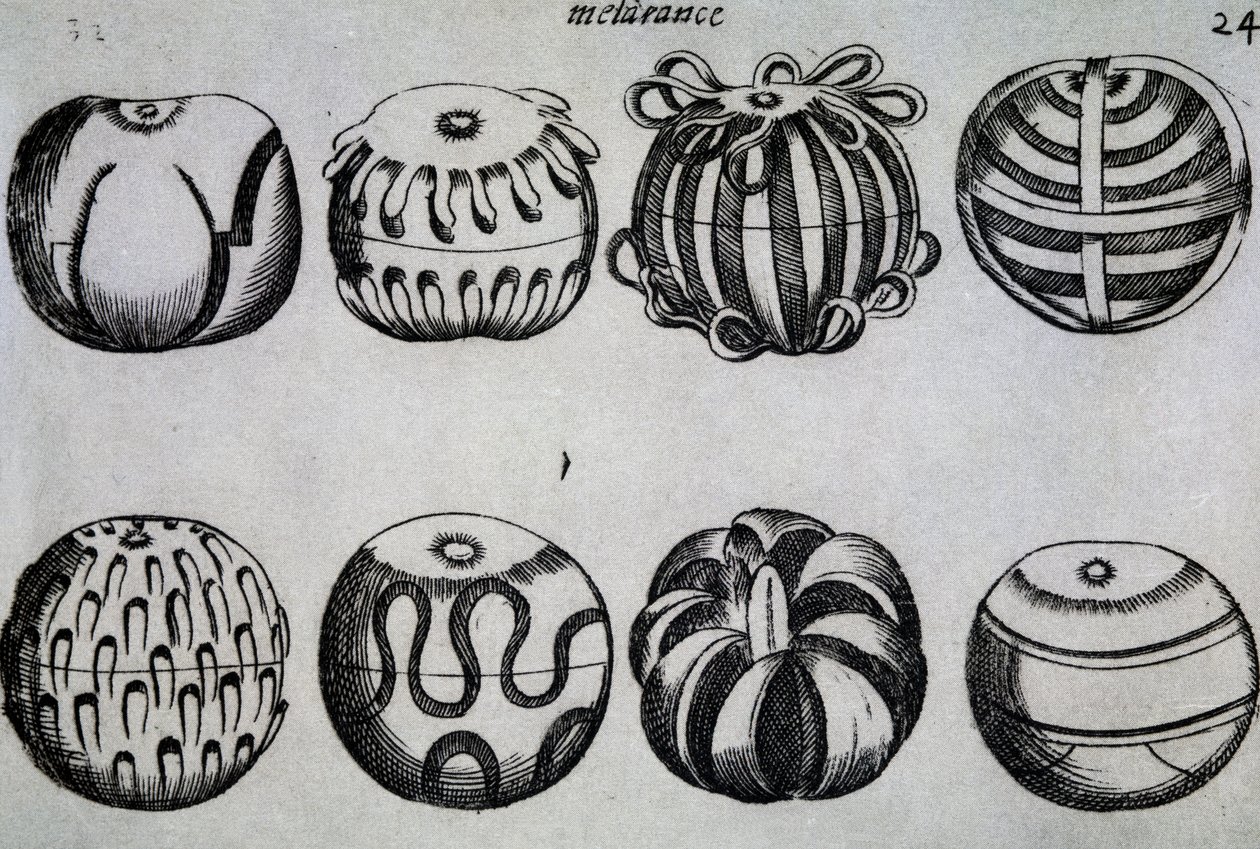 Způsoby nakrájení ovoce, ilustrace ze Tří pojednání bavorského Messera Mattia Gieghera z Mosburcu, drtiče nejslavnějšího německého národa v Padově, Itálie od Italian School
