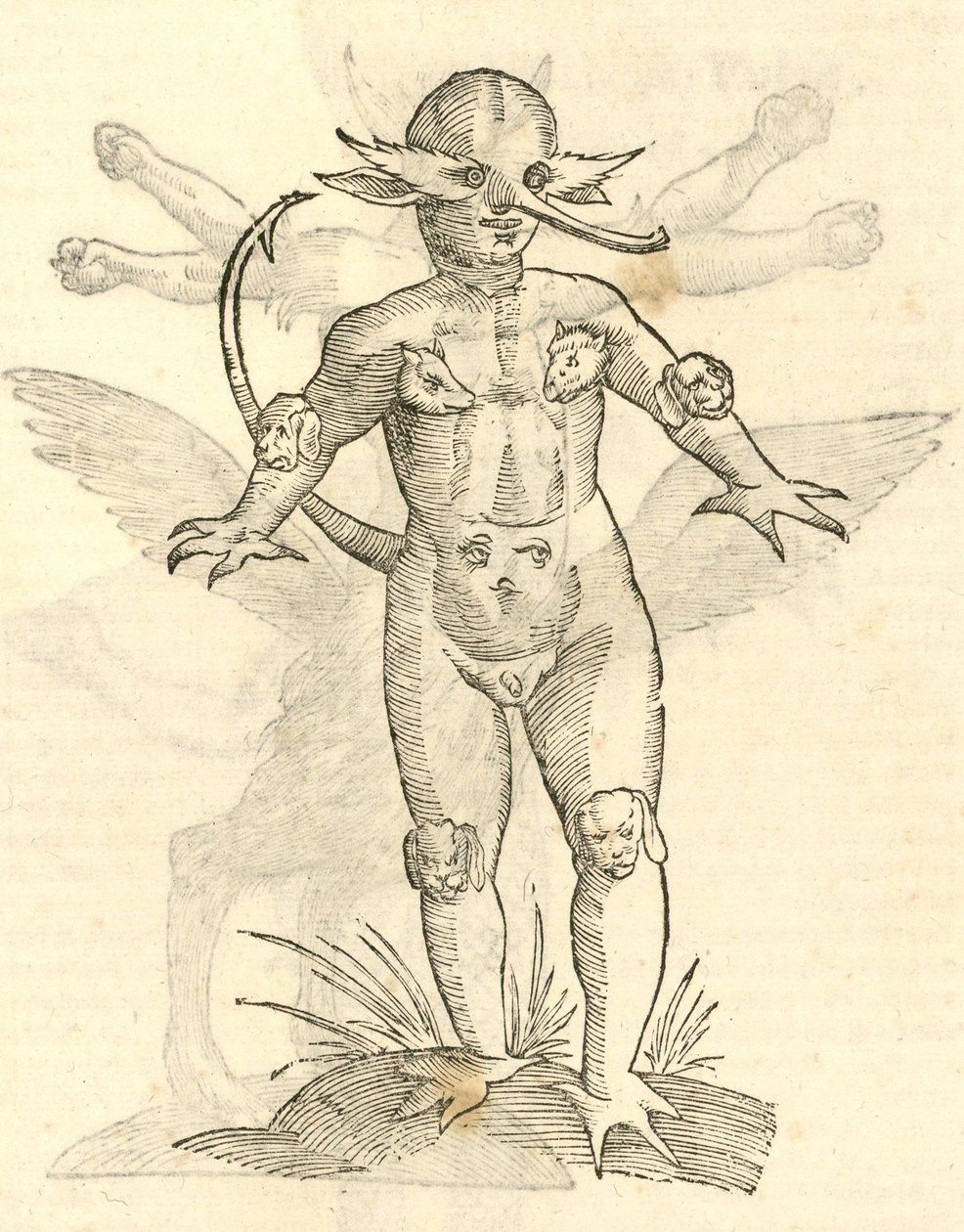 ilustrace dětských hlav zvířat z Aldrovandis History of Monsters, 1642 od Italian School