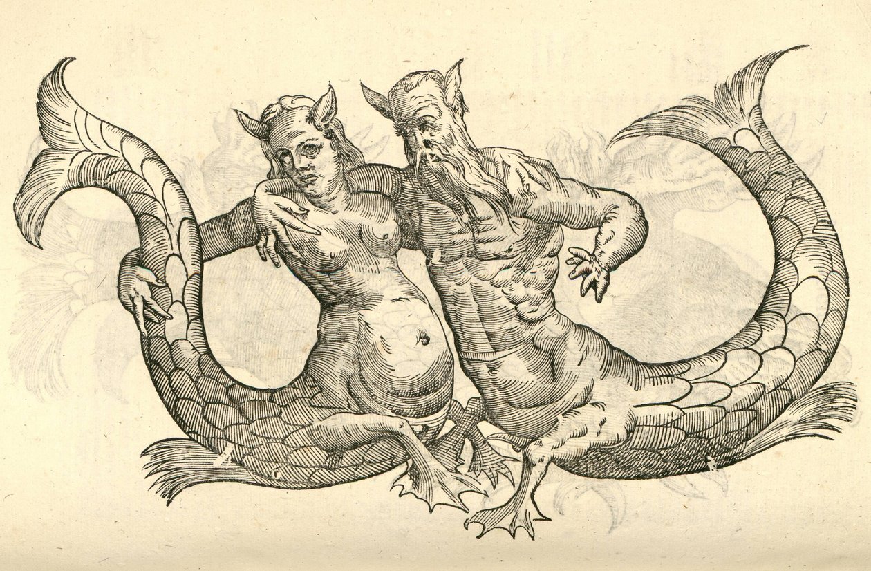 ilustrace Monstera Milaca Parei z Aldrovandus History of Monsters, 1642 od Italian School