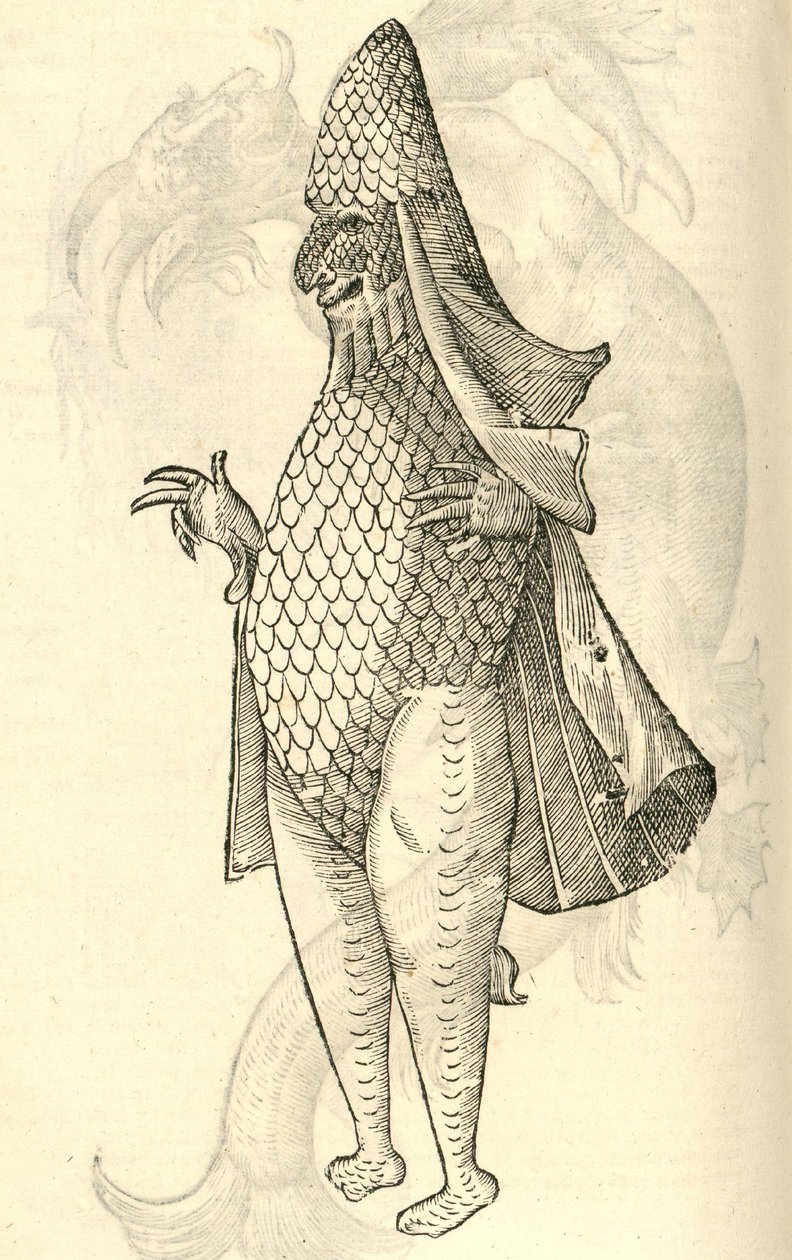 ilustrace Monstro Marinus z Aldrovandis History of Monsters, 1642 od Italian School