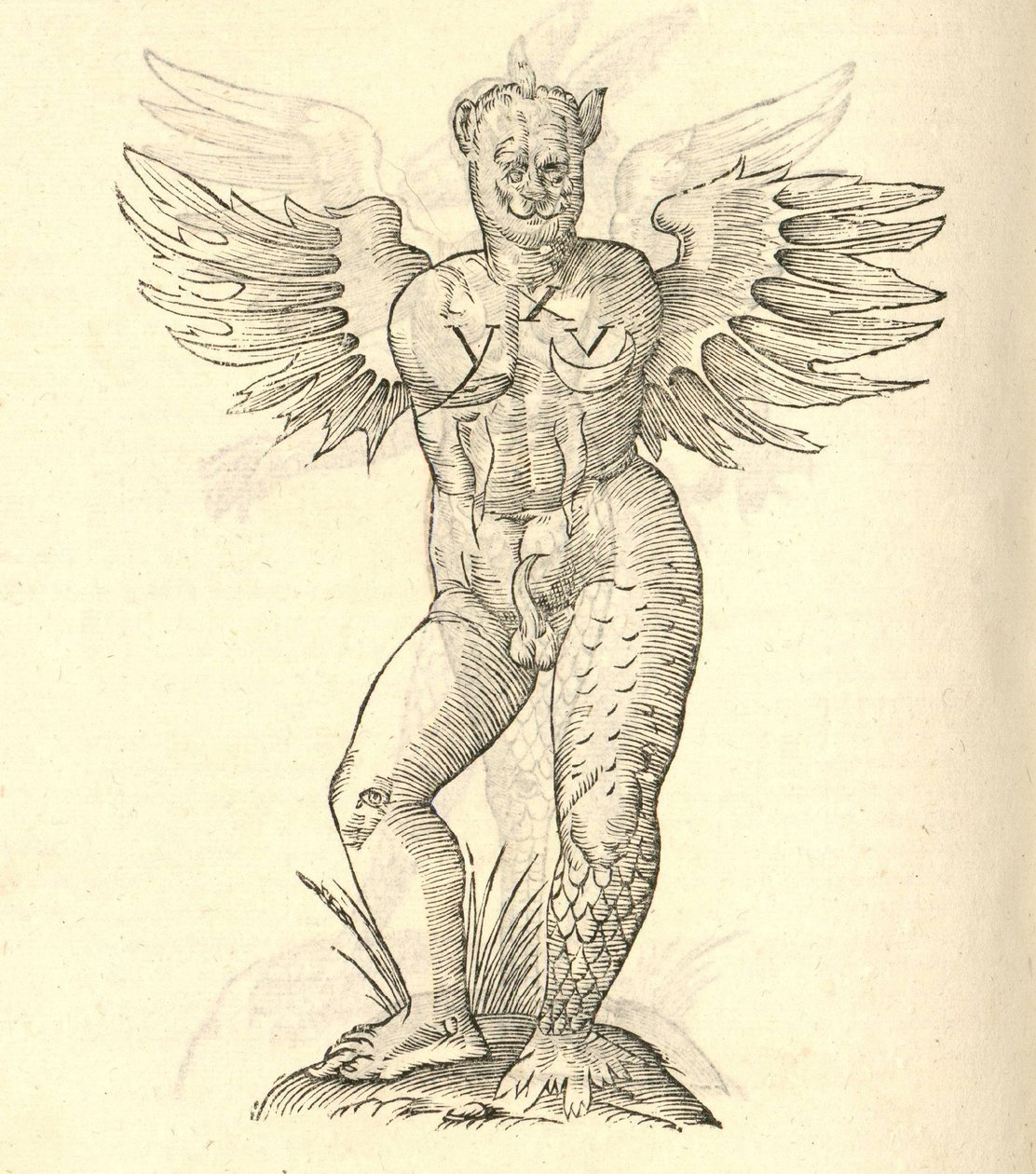 ilustrace okřídleného monstra z Aldrovandis History of Monsters, 1642 od Italian School