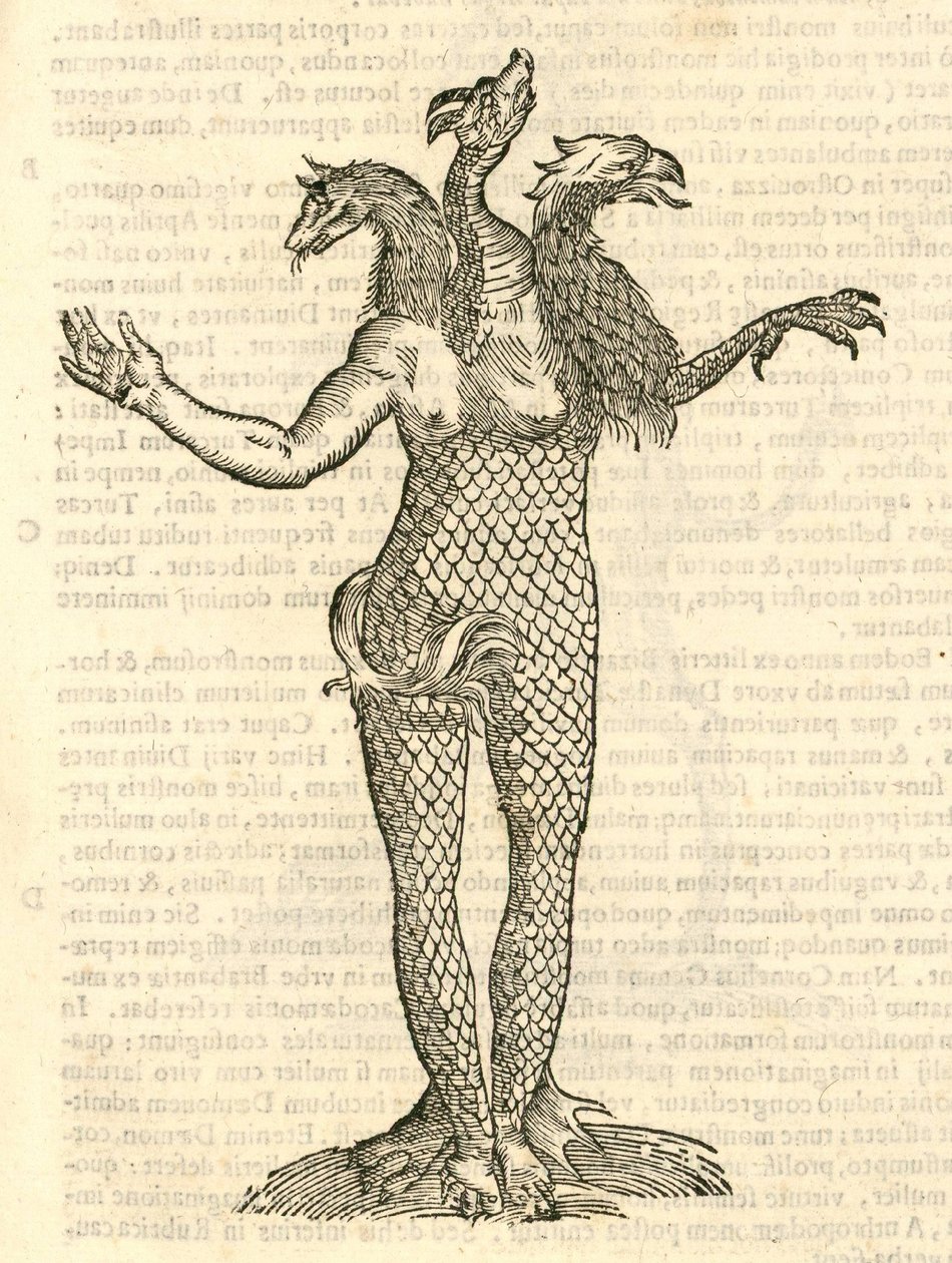 ilustrace tříhlavého monstra s hlavou lišky, draka a orla z Aldrovandis History of Monsters, 1642 od Italian School