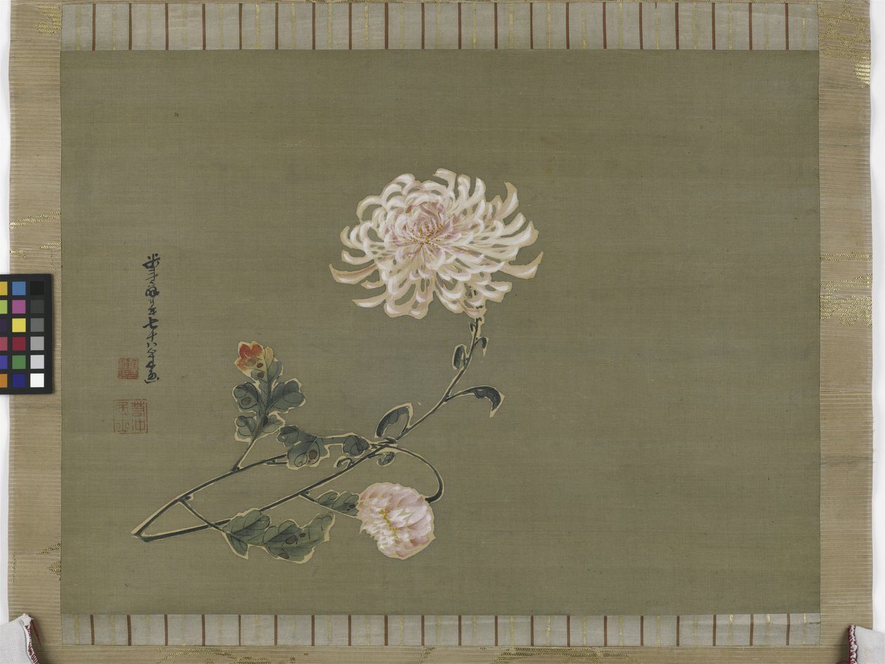 Chryzantéma, období Edo, 1791 (inkoust a barva na hedvábí) od Ito Jakuchu