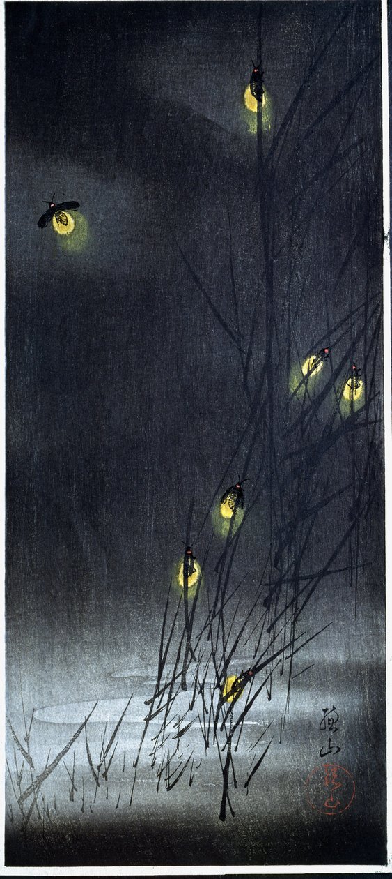 Světlušky v letní noci. 1930-1950 (xylografie a japonský tisk) od Ito Sozan