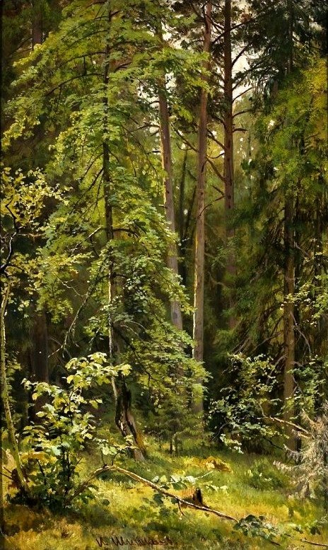Les. od Ivan Ivanovich Shishkin