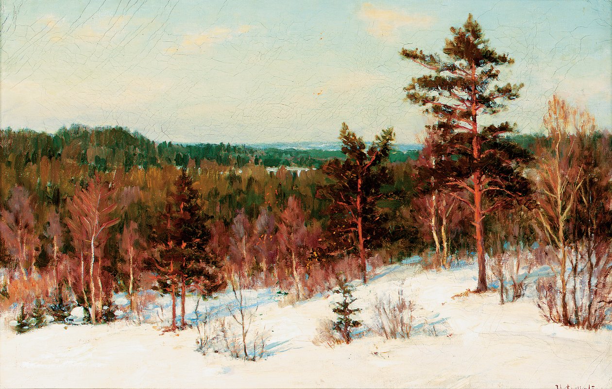 Zima - Pohled na les od Ivan Fedorovich Choultse
