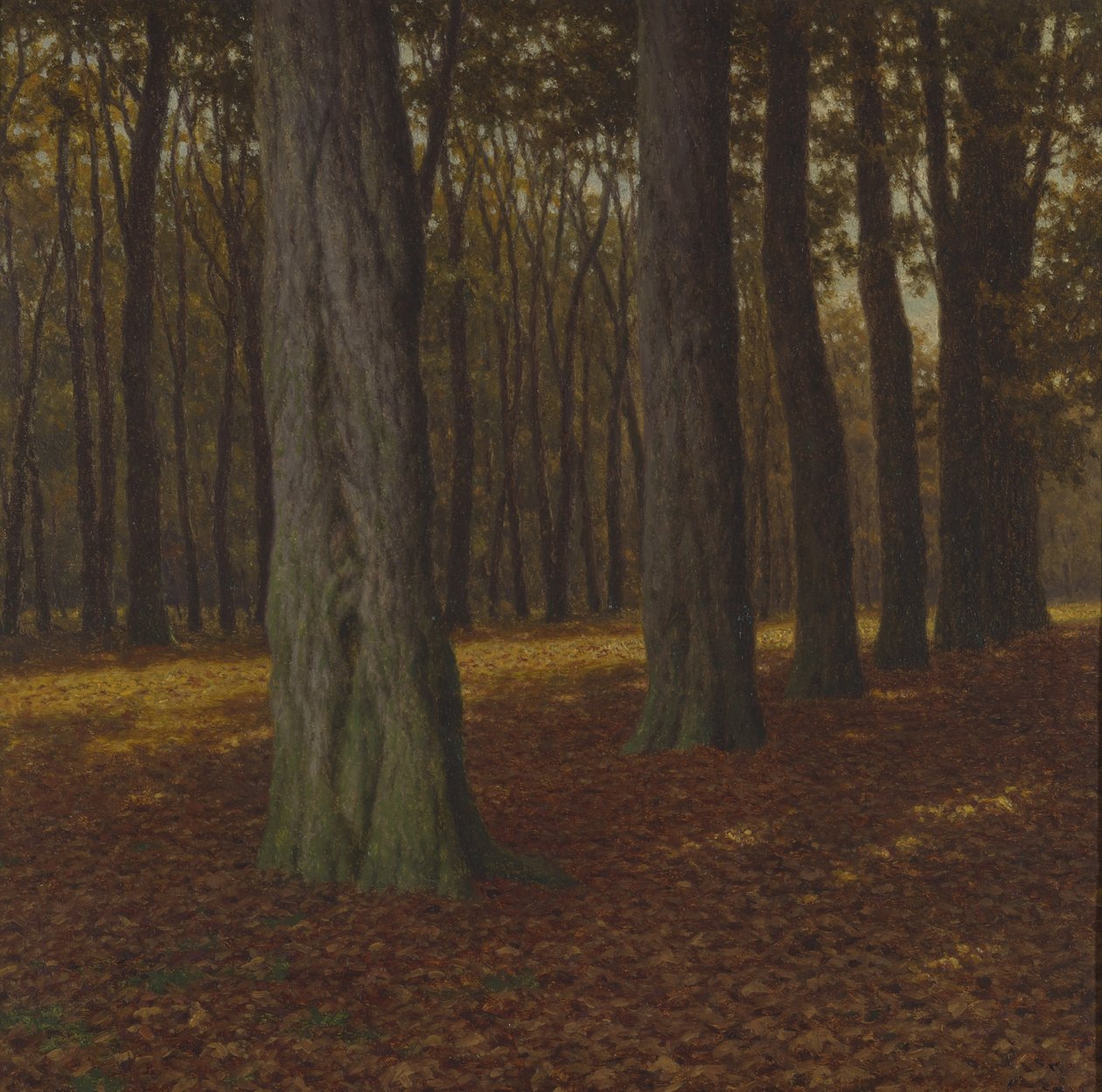 Zalesněná krajina (olej na plátně) od Ivan Fedorovich Choultse
