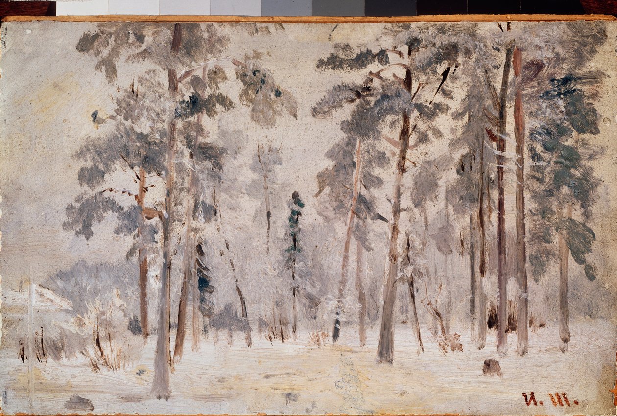 Frost (Jinovatka) - Obraz Ivana Ivanoviče Šiškina (Šiškina) (1832-1898), olej na plátně, cca 1890 - ruské umění, krajina 19. století - Státní Treťjakovská galerie, Moskva od Ivan Ivanovich Shishkin
