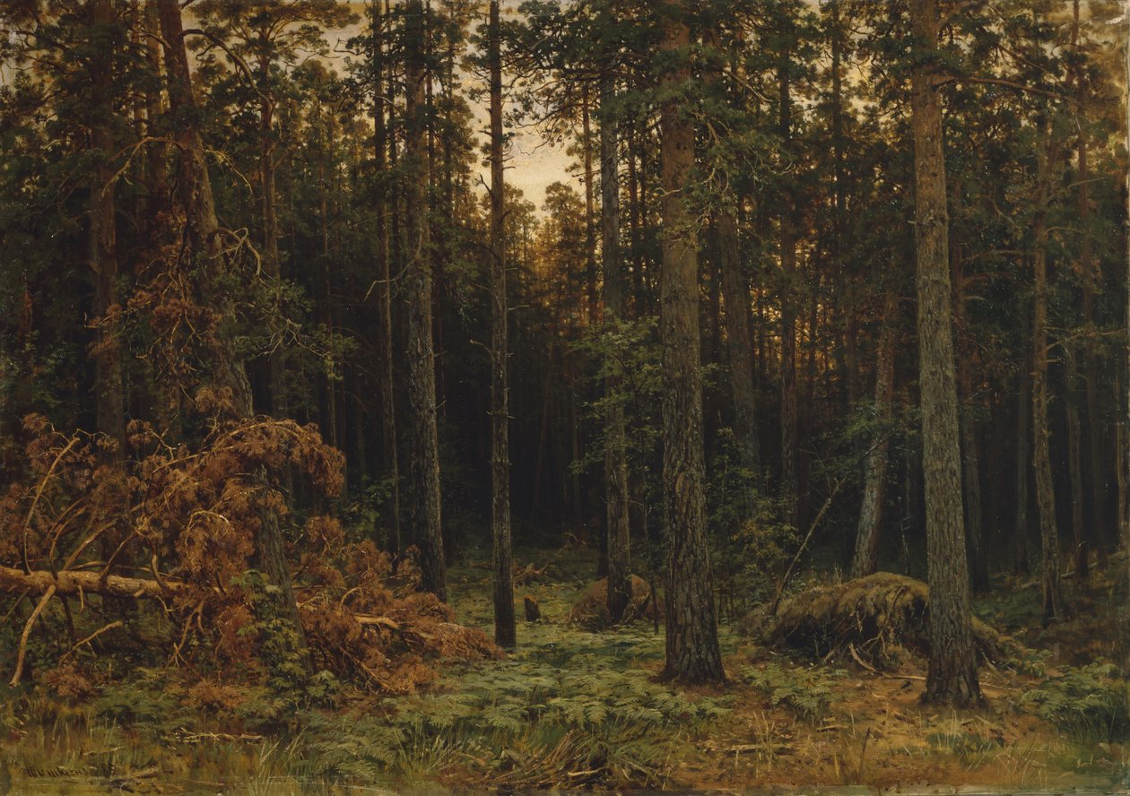 Borové dřevo, 1885 od Ivan Ivanovich Shishkin