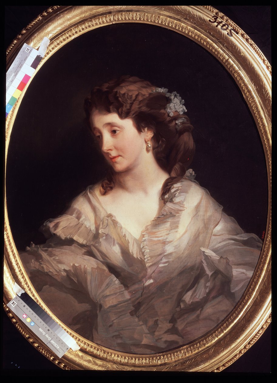 Portrét Alexandry Chelischeva. (Portrét A. Chelischeva). Obraz Ivan Kosmich Makarov (1822-1897), olej na plátně, kolem roku 1860. Ruské umění, portrét 19. století. Státní Treťjakovská galerie, Moskva. od Ivan Kosmich Makarov