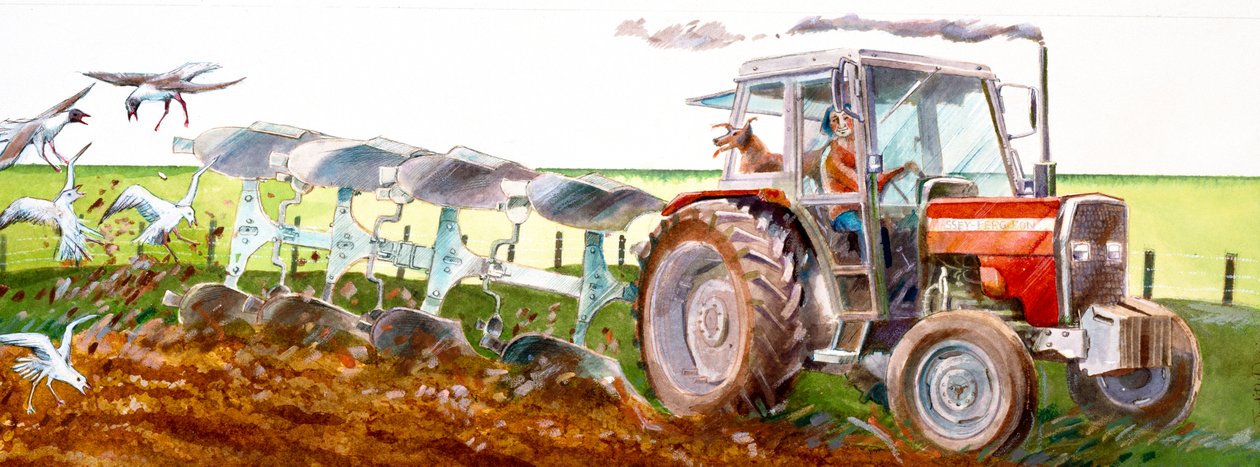 Orba, c2010 od Ivan Lapper