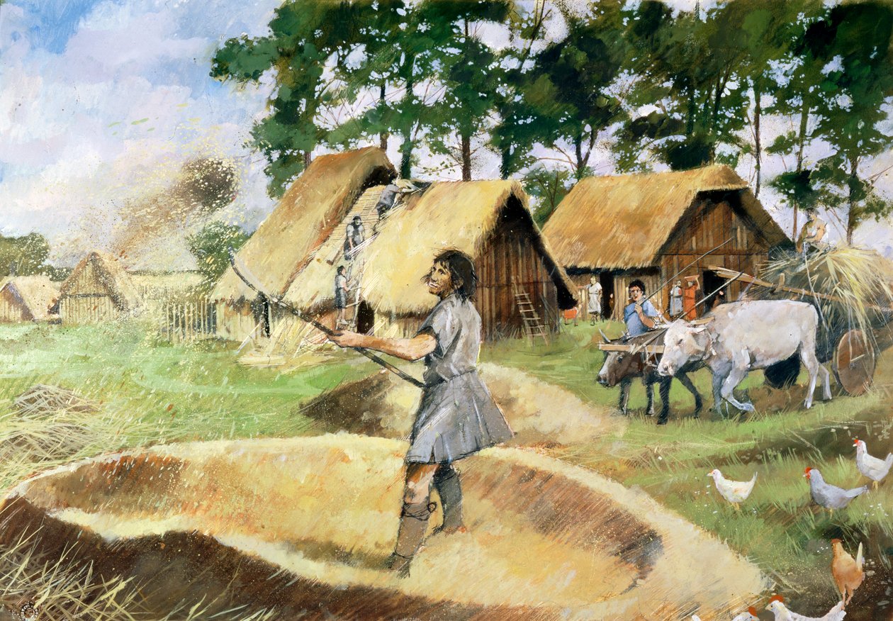 Římské zemědělství, c3. století, 1990-2010. od Ivan Lapper