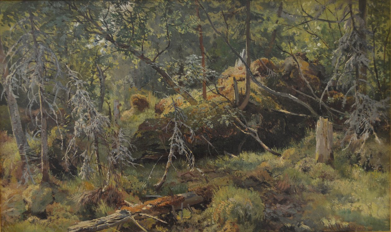 Pobočky. Studie od Ivan Ivanovich Shishkin