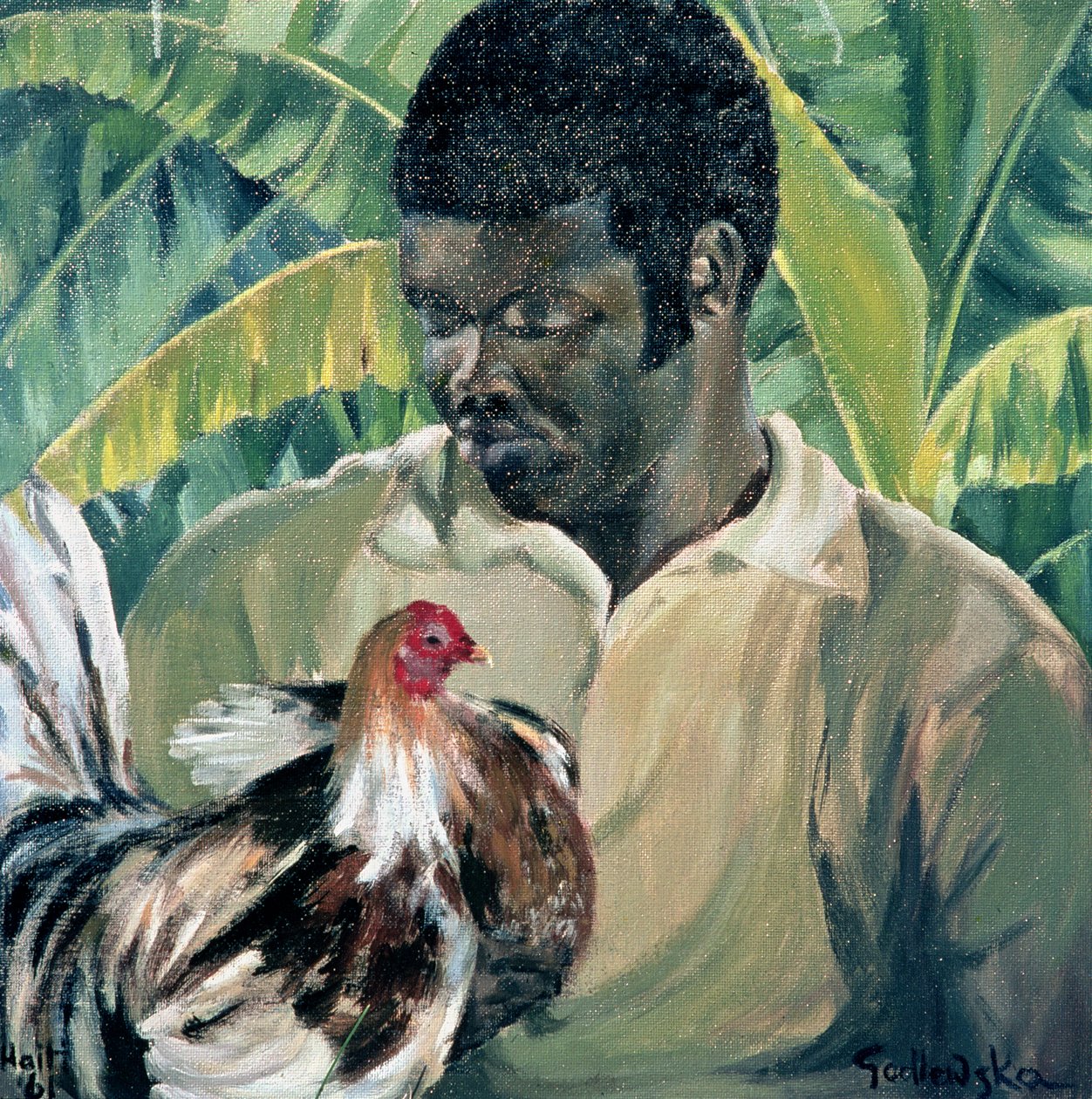 Abel s Fighting Cock, 1961 od Izabella Godlewska de Aranda