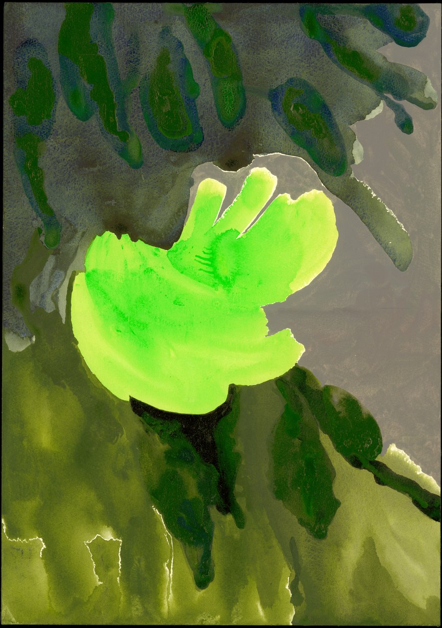 Kensington Gardens Series: Leaf Cascade, 2007 (kombinovaná média na papíře) od Izabella Godlewska de Aranda
