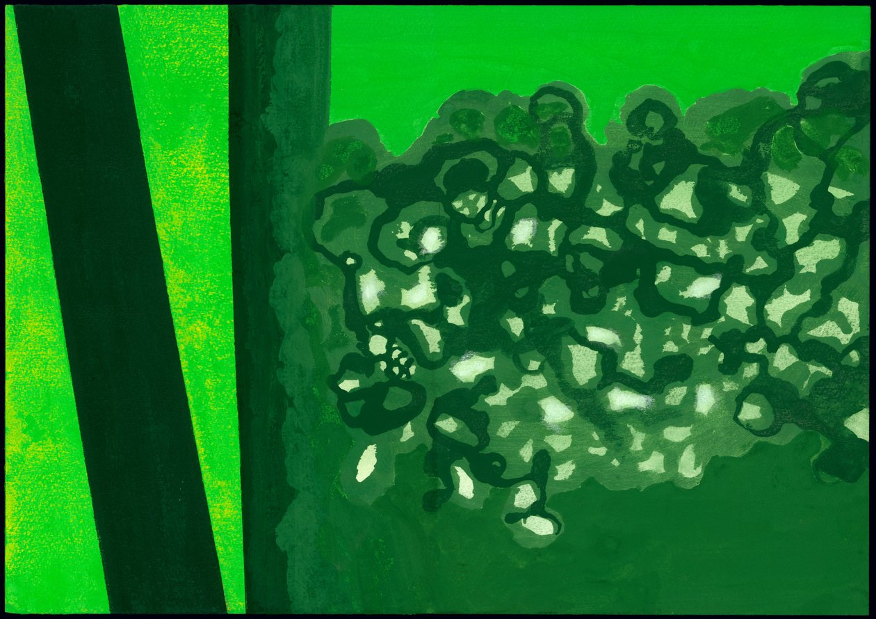 Kensington Gardens Serise: Canopy Shadows, 2007 (kombinovaná média na papíře) od Izabella Godlewska de Aranda