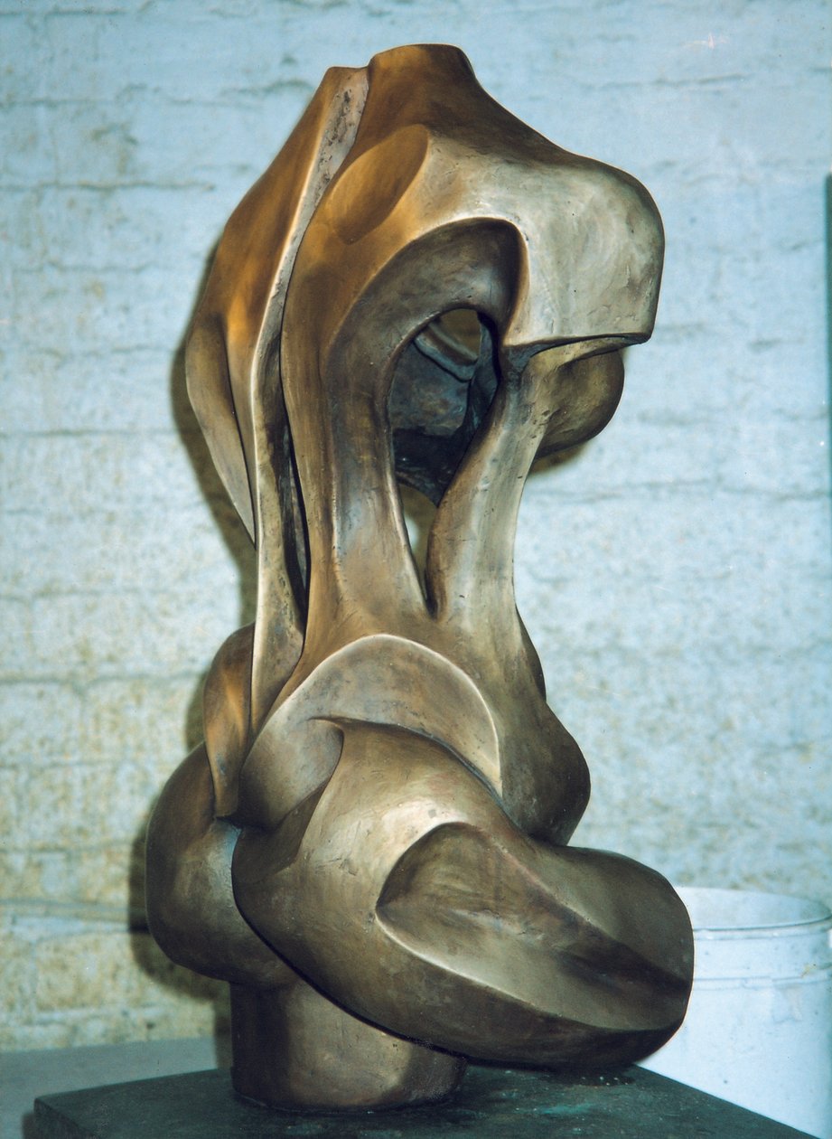 Žena, 2001 (bronz) od Izabella Godlewska de Aranda