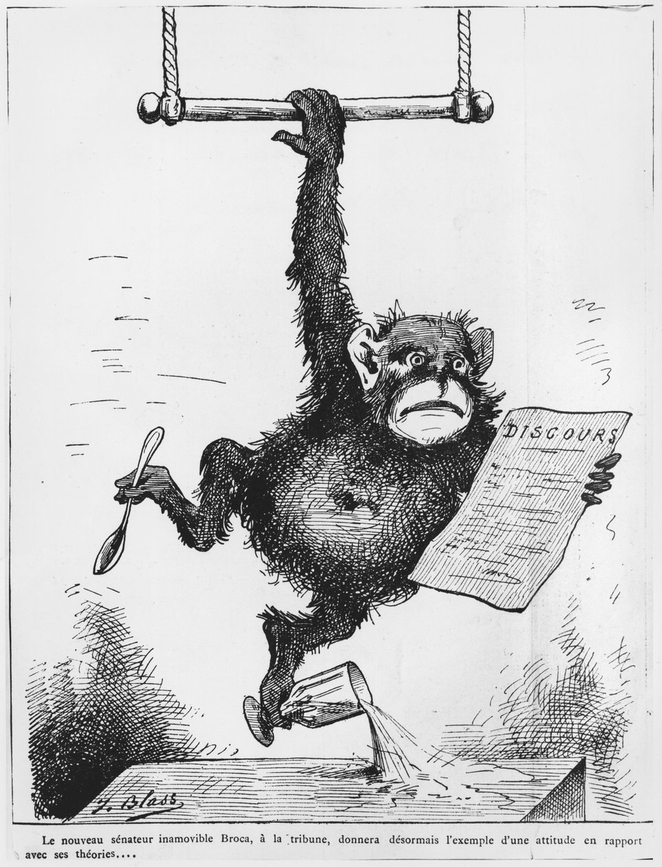 Karikatura Paula Brocy (1824-80), ilustrace z knihy "Le Triboulet", 1880 od J. Blass
