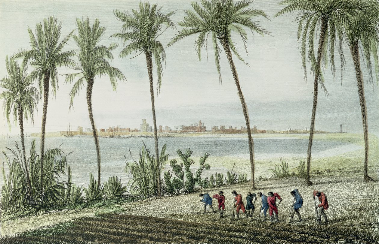 Celkový pohled na Cádiz, vyrytý John Pye (1782-1874) od J. Taylor