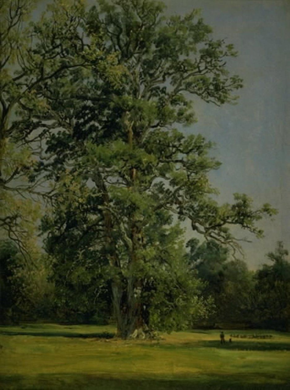 Dub. Pohled do zahrady ve Wörlitz u Dessau od Johan Christian Dahl