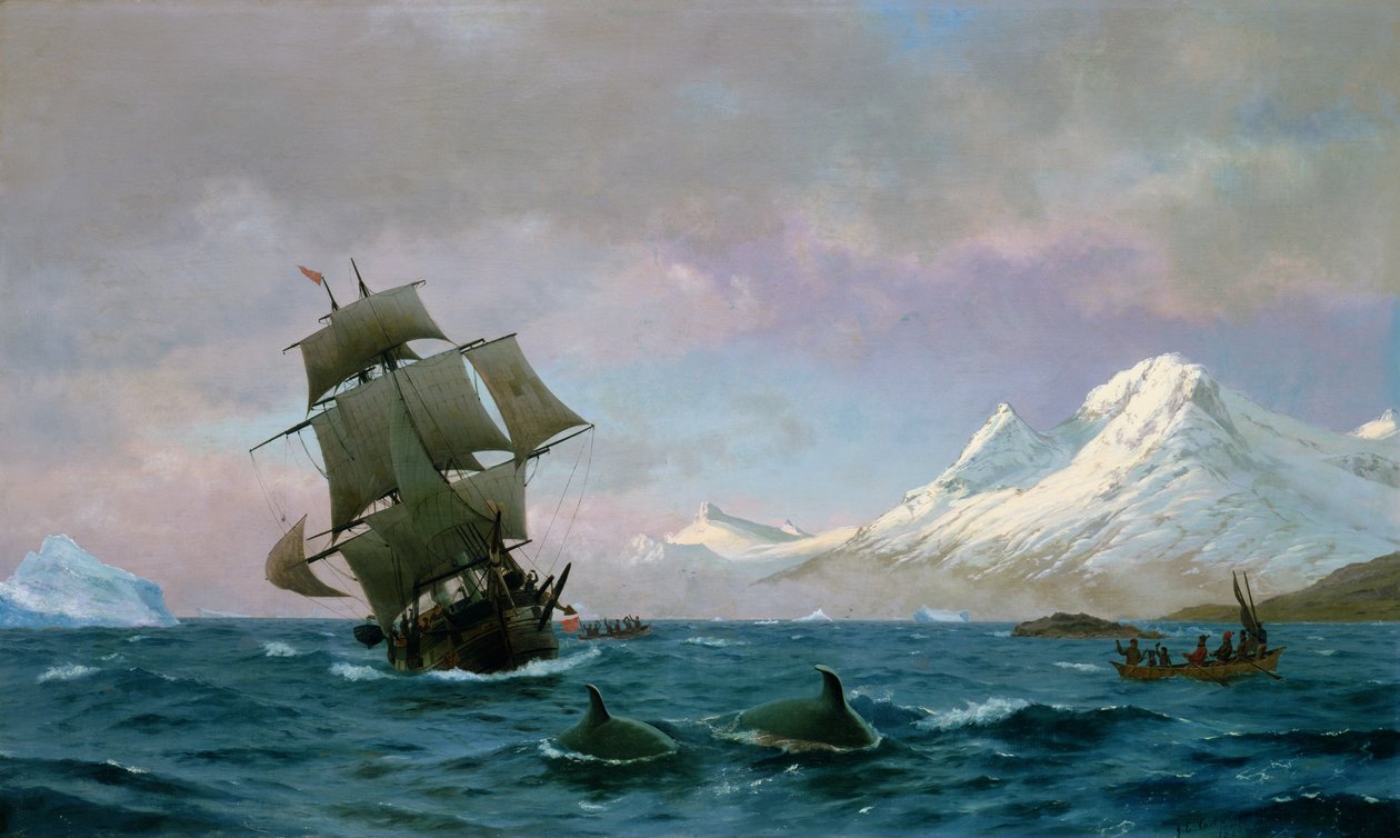 Chytání velryb, 1875 od J.E. Carl Rasmussen