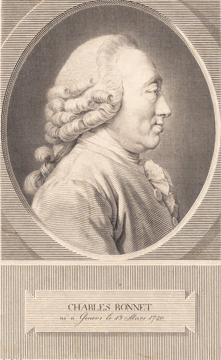 Charles Bonnet od J.F. Clemens
