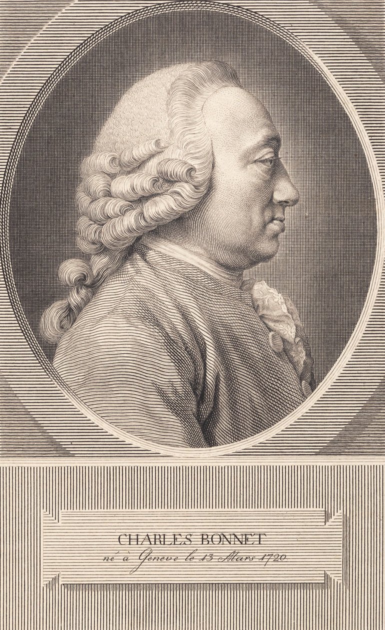 Charles Bonnet od J.F. Clemens