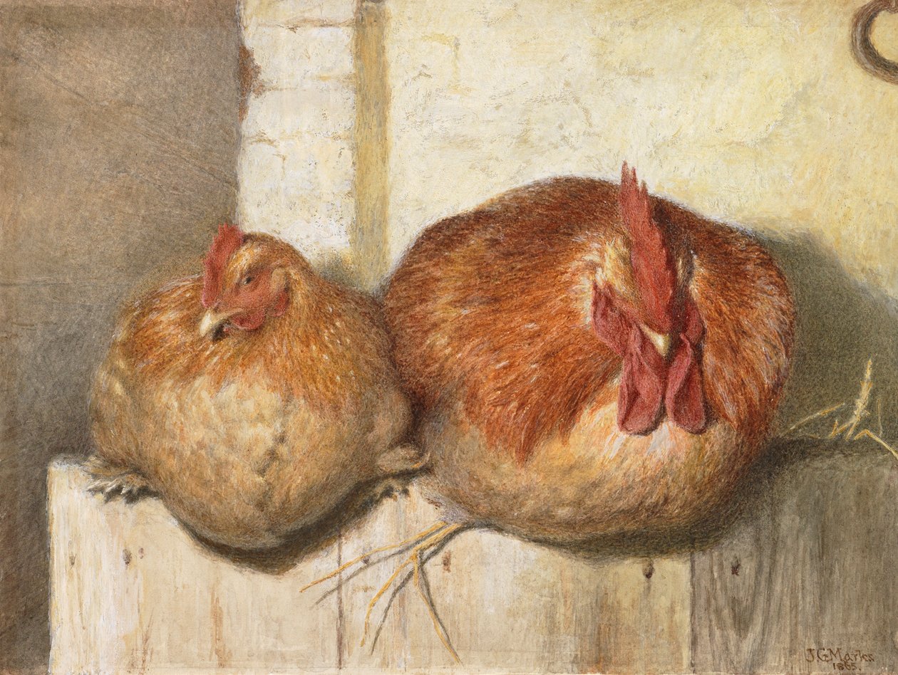 Čtyřicet výher, 1865 (čb na papíře) od J.G. Marks