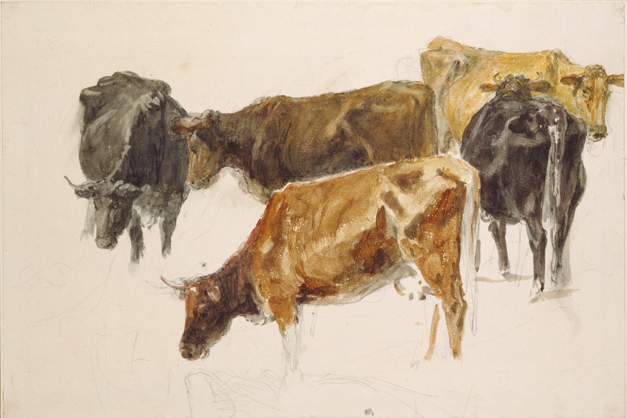 Studie skupiny krav, c1801 od Joseph Mallord William Turner
