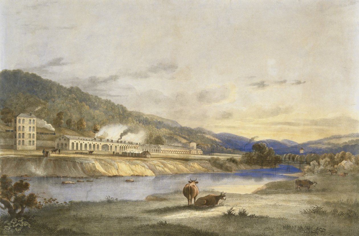 Trefforest Tin Works, Glamorganshire, cca 1840 (ručně kolorovaná litografie na papíře) od J. Appleby
