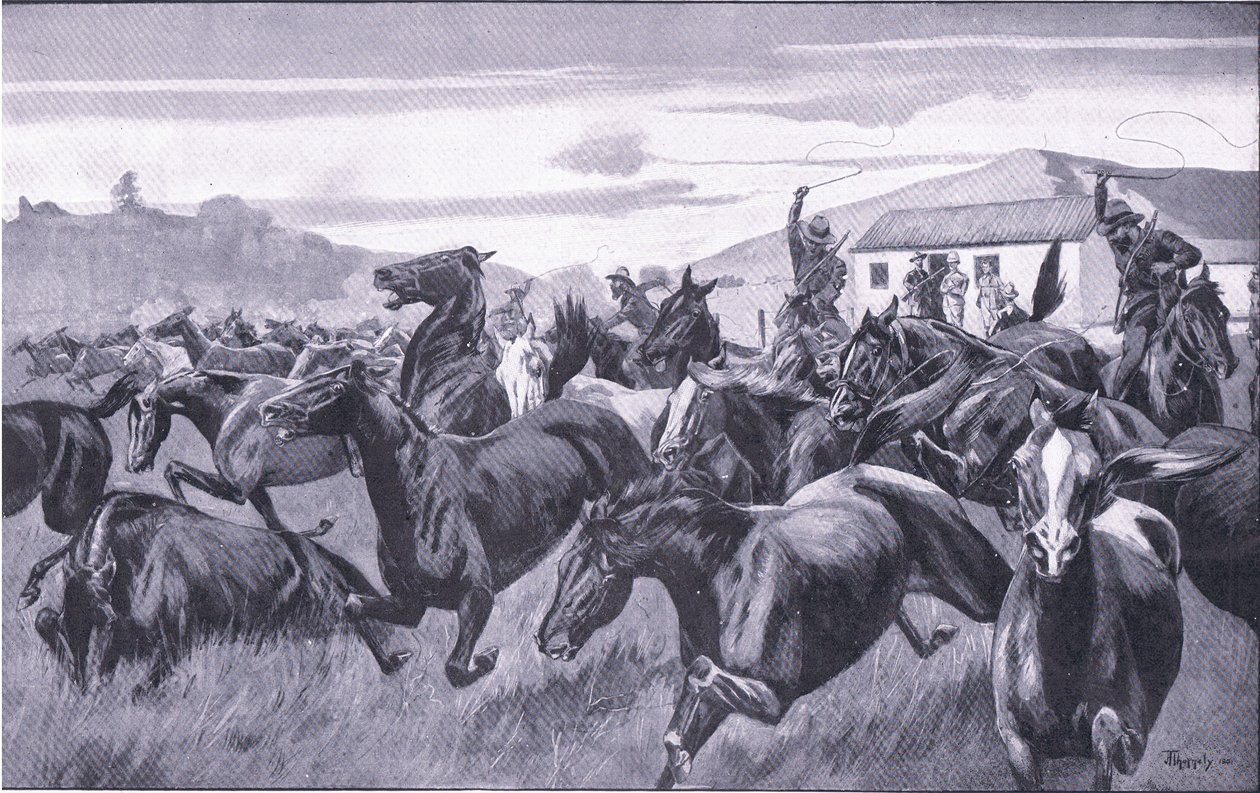 Búrové nájezdy na Remount Depot v Braamfonteinu, z After Pretoria: The Guerilla War vydané Harmsworth Bros Limited, 1901 od J. H. Thornely