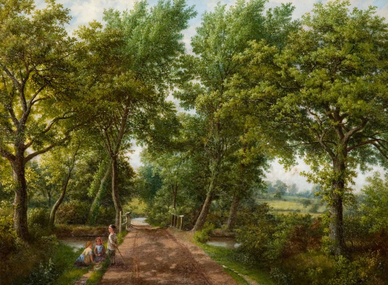 Hob Moor Road Ford, Birmingham, 70. léta 19. století. od J. Jolly