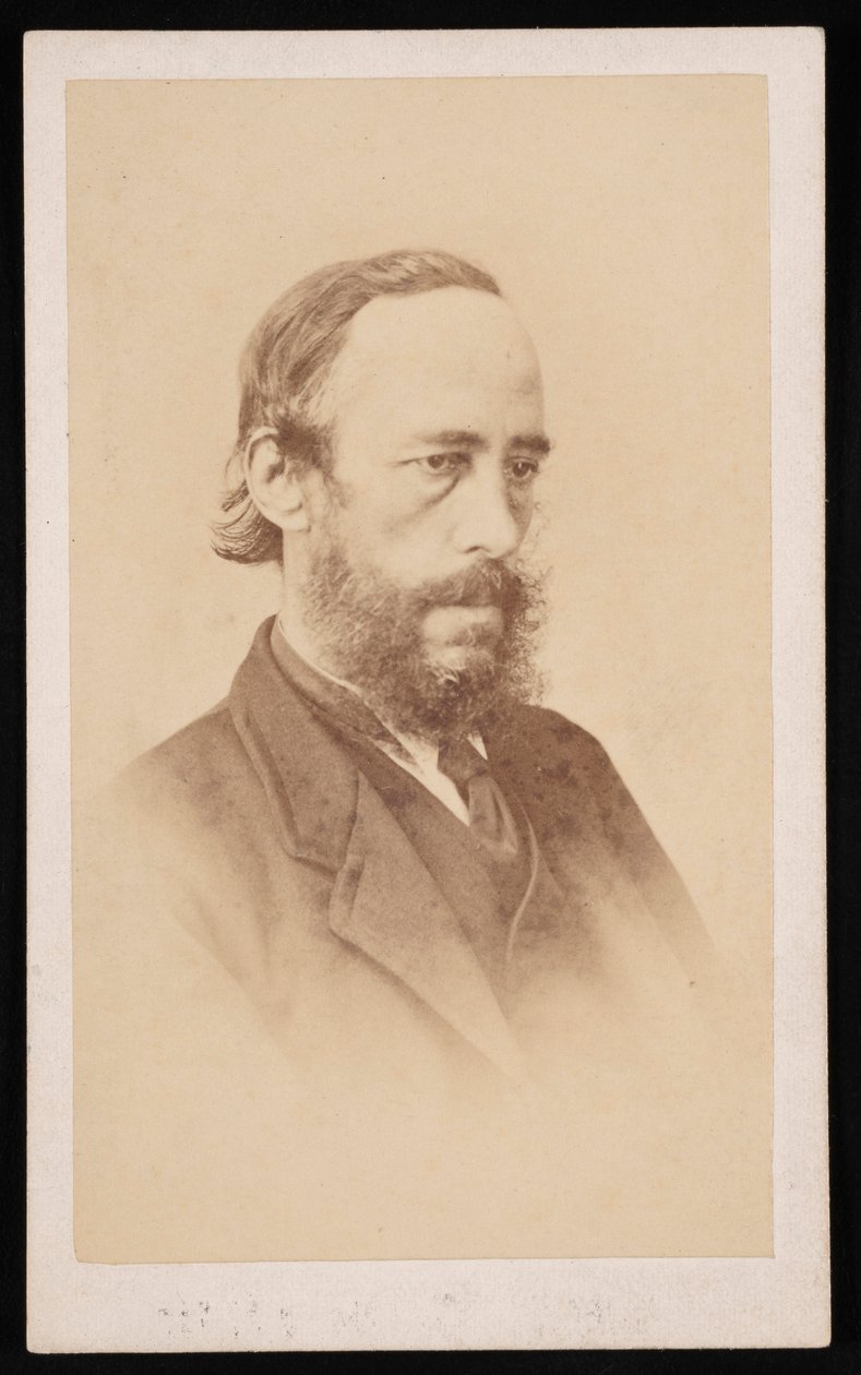 Portrét Jamese Crolla 1821-1890, před rokem 1876. od J McPherson
