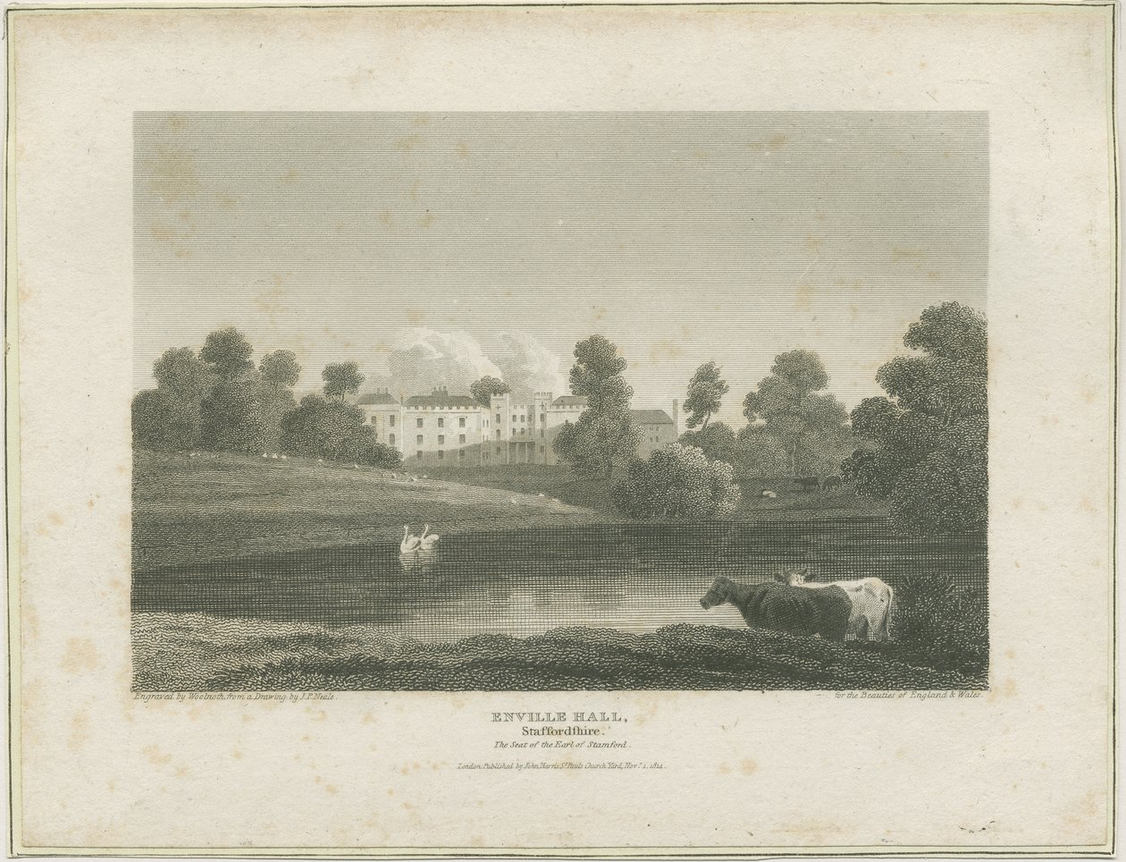 Enville Hall: rytina, nd [c 1814] (tisk) od John Preston Neale