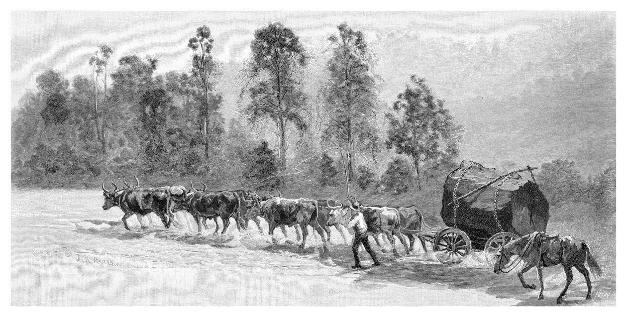 Cedar-getting na řece Richmond, Nový Jižní Wales, Austrálie, 1886. od J. R. Ashton