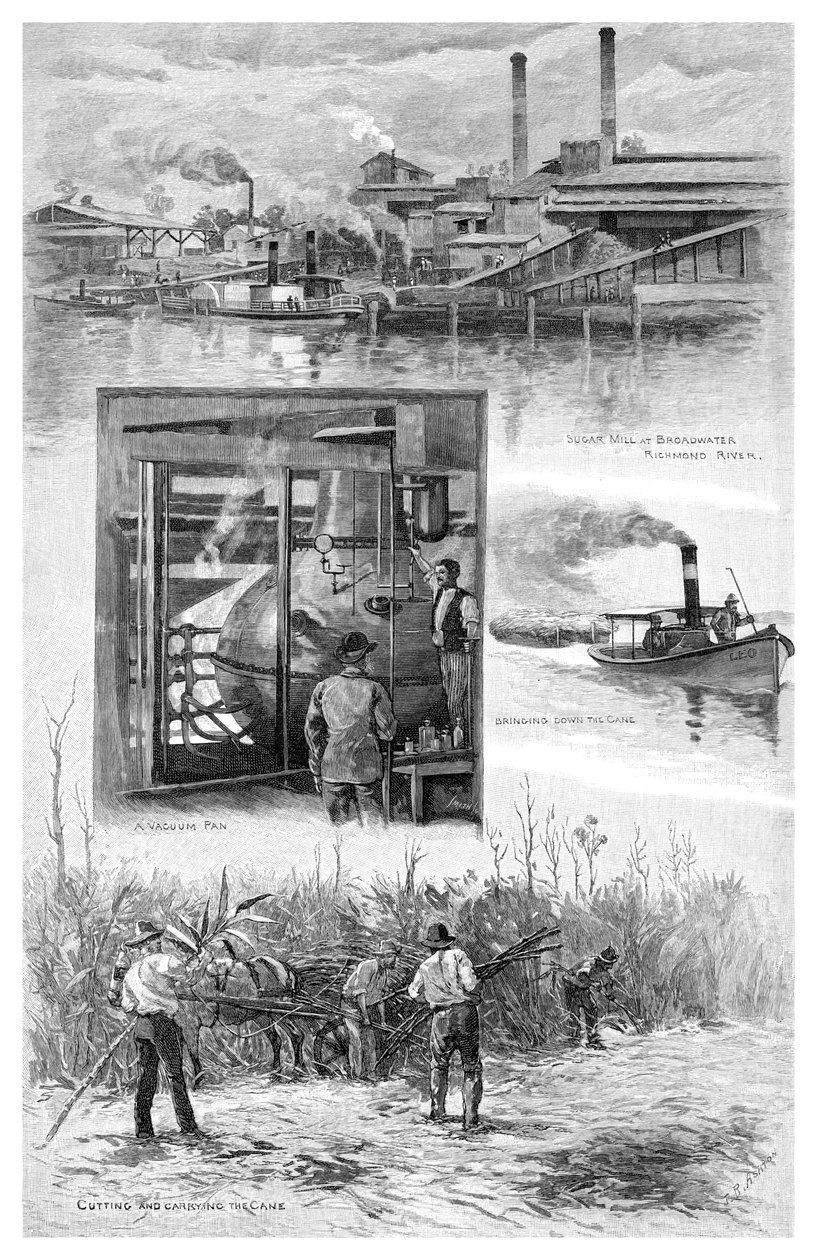 Cukrářský průmysl, Richmond River, Nový Jižní Wales, Austrálie, 1886. od J. R. Ashton