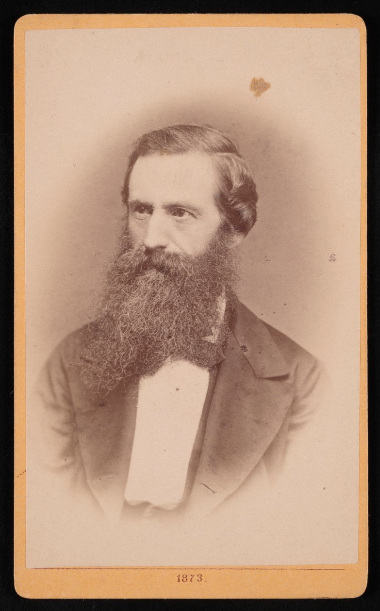 Portrét Mordecai Cubitt Cooke 1825-1914, 1873. od J Stegmann
